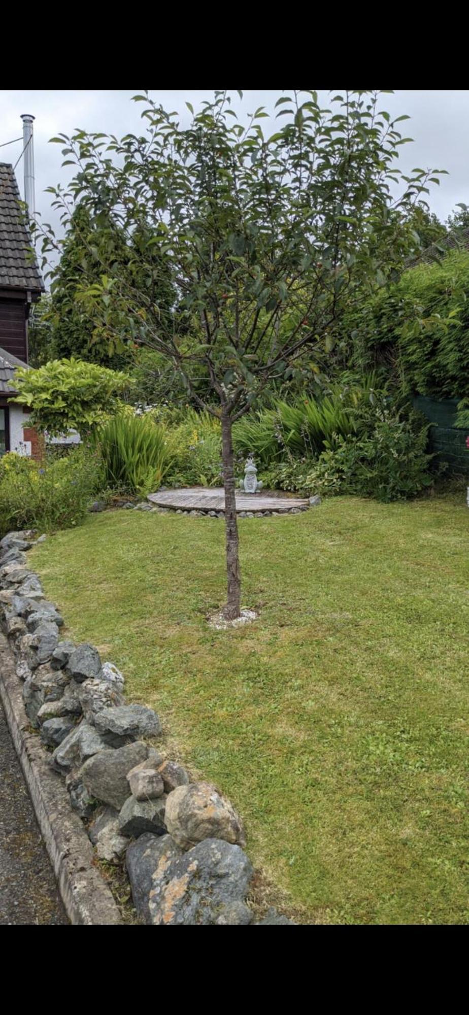 Contemporary Highland House Close To Town And Ben Nevis Fort William Extérieur photo